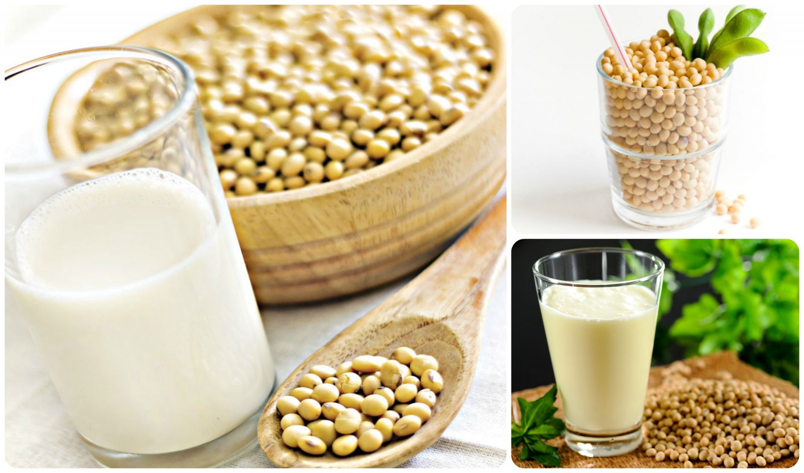 Cách làm sữa giúp tăng cân hiệu quả đơn giản từ đậu nành