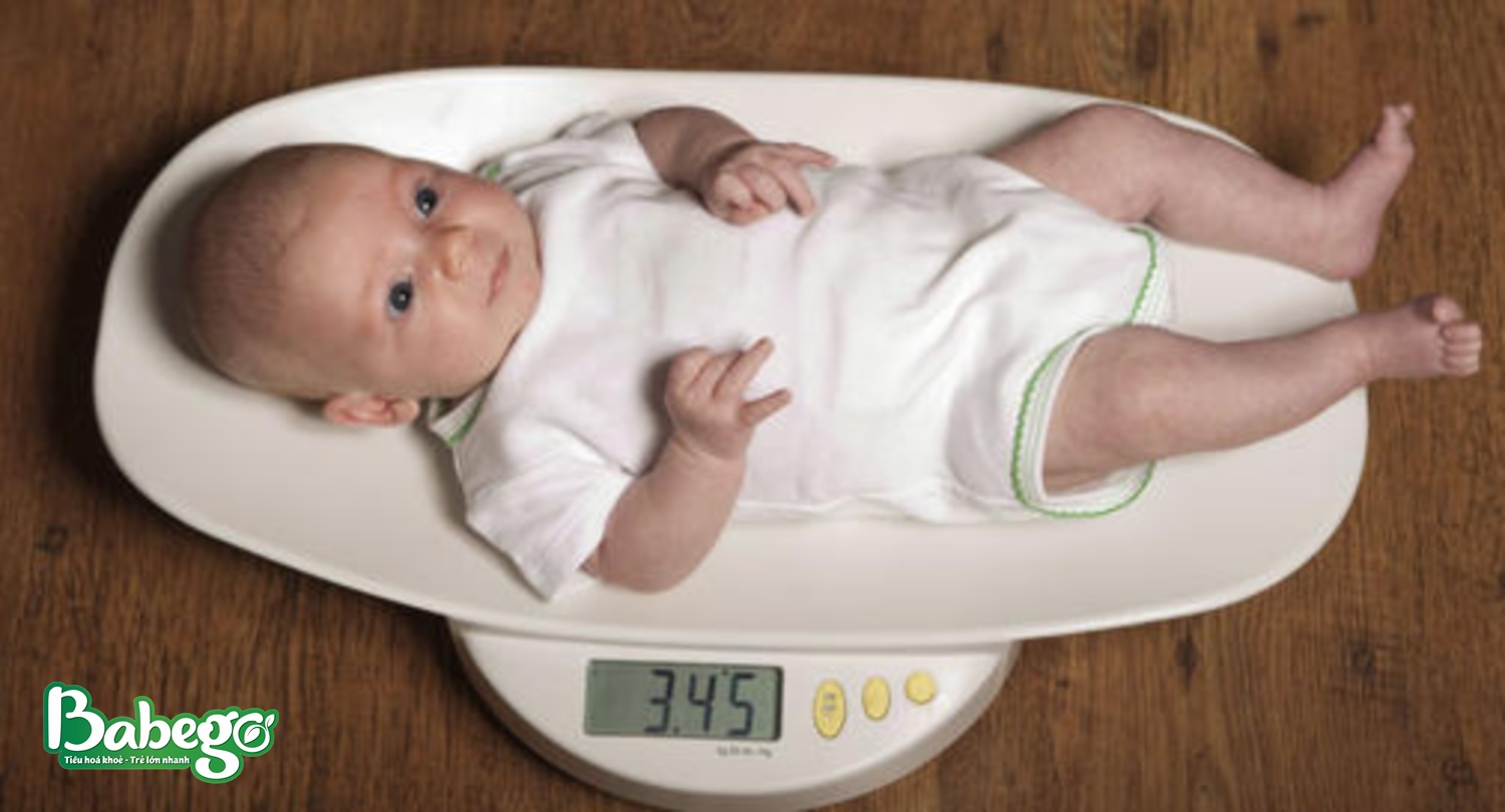 Dấu hiệu trẻ 3 tháng tuổi biếng ăn sinh lý - Cân nặng của bé không đổi hoặc giảm